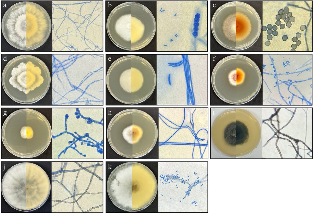 Ecological Agriculture Research tweet media