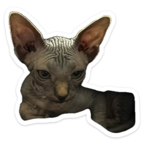 ΞmilyQuestions 💟 :: #TotalChaos tweet media