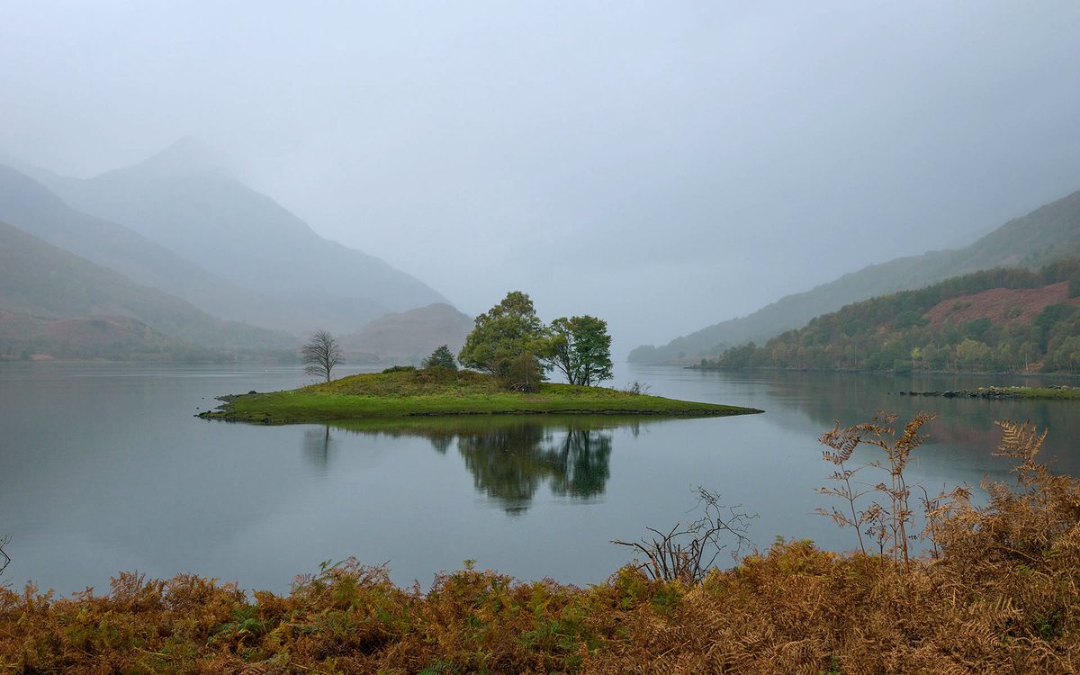 YorkshireLass tweet media