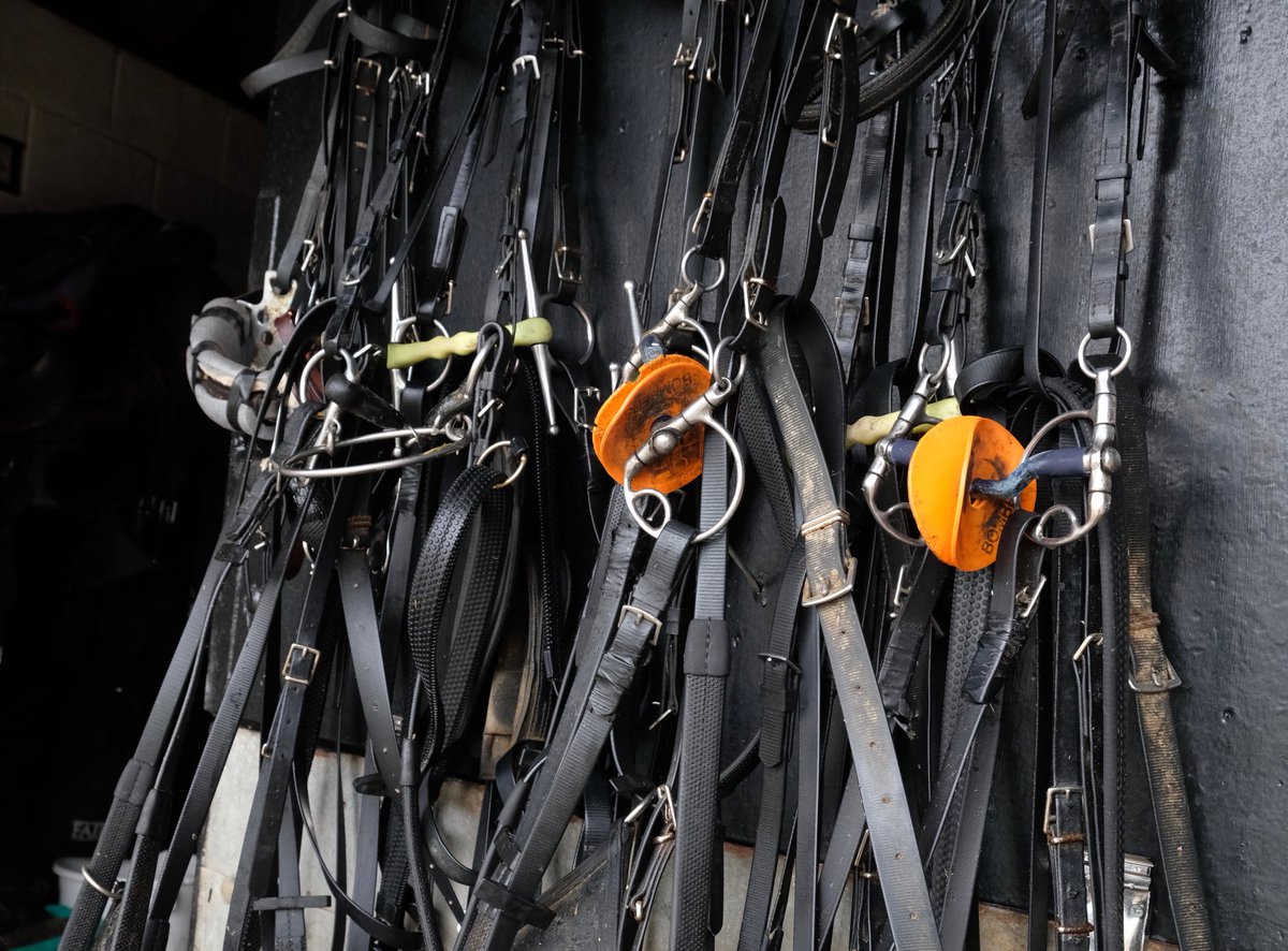 Keith Powditch tweet media