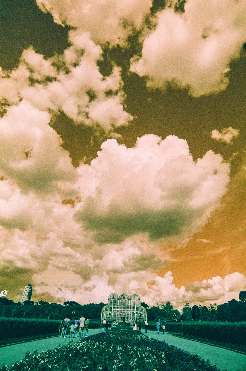 Harman Photo tweet media