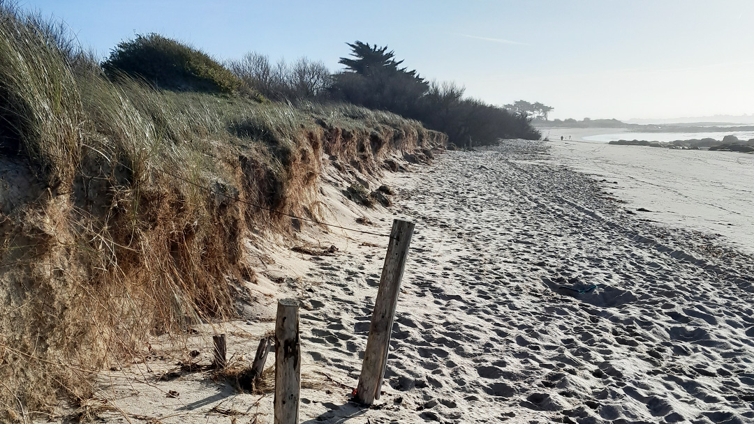Lorient Agglo tweet media