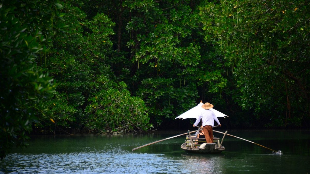 Amazing Thailand SA tweet media