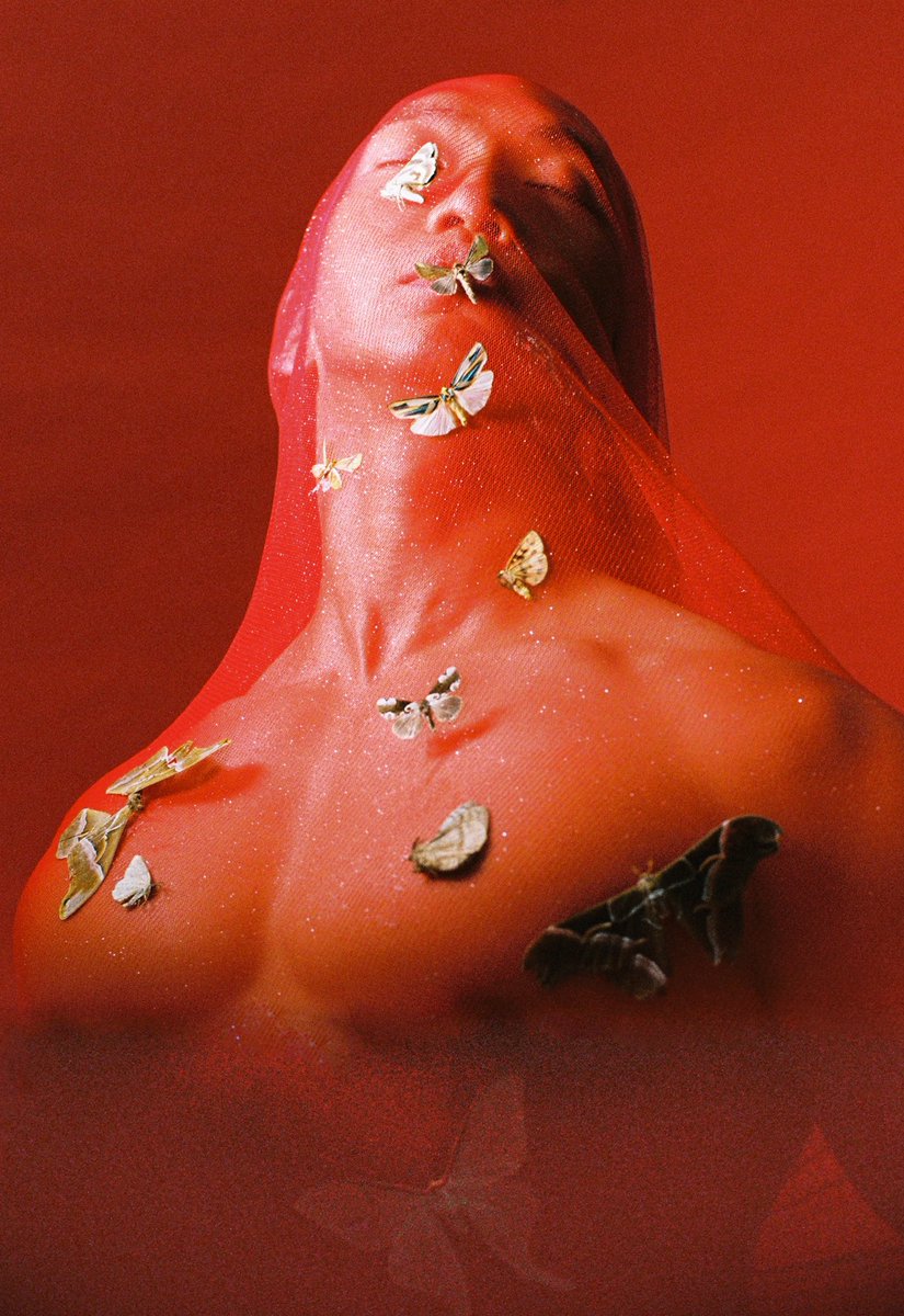 Shengzhe tweet media