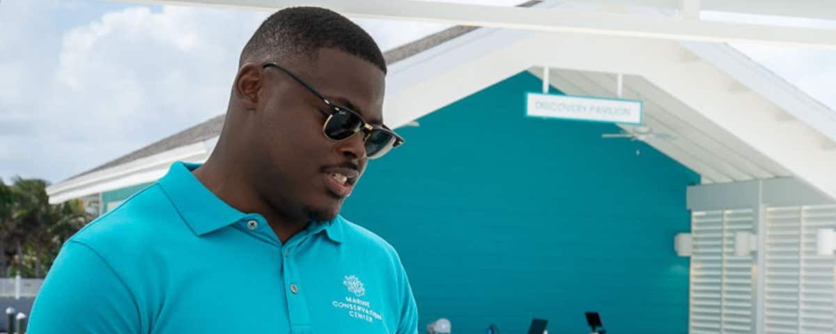 MSC Group tweet media