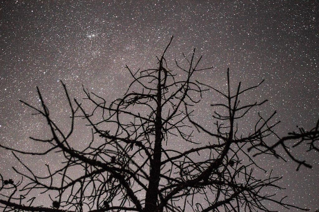 Iram Ortega 👁 tweet media