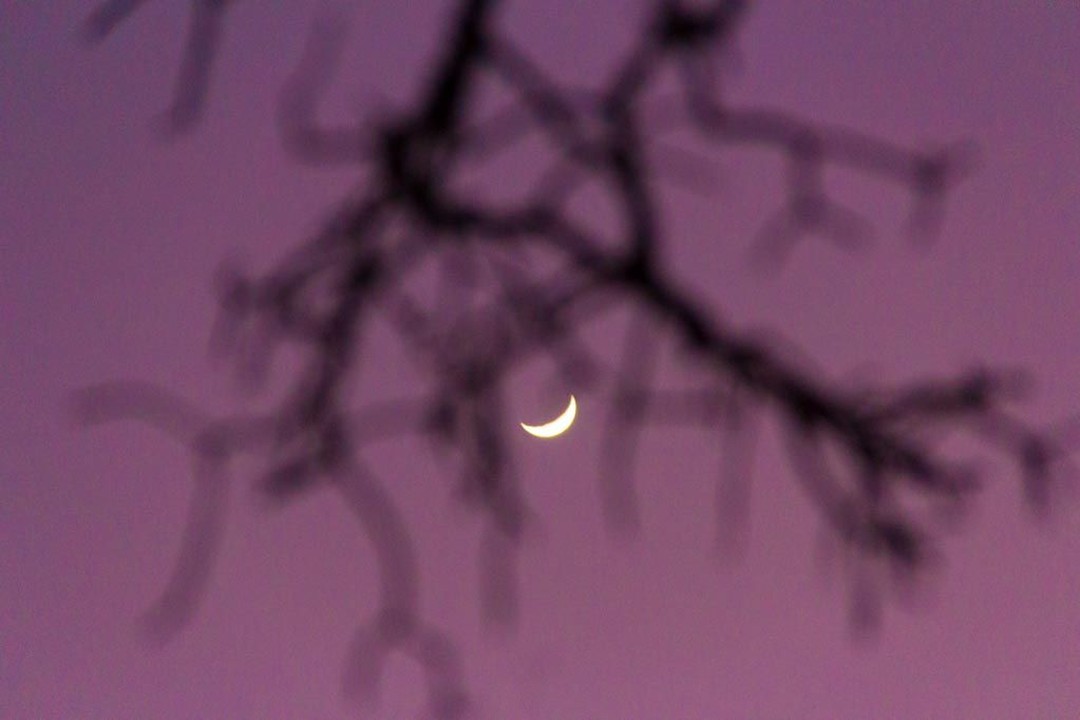 Iram Ortega 👁 tweet media