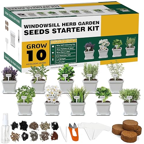 TheLunaCroft's tweet photo. I just received Seed Garden from titantnt8 via Throne. Thank you! https://t.co/fGXnLLHAqH #Wishlist #throne https://t.co/WlhrAapqeI