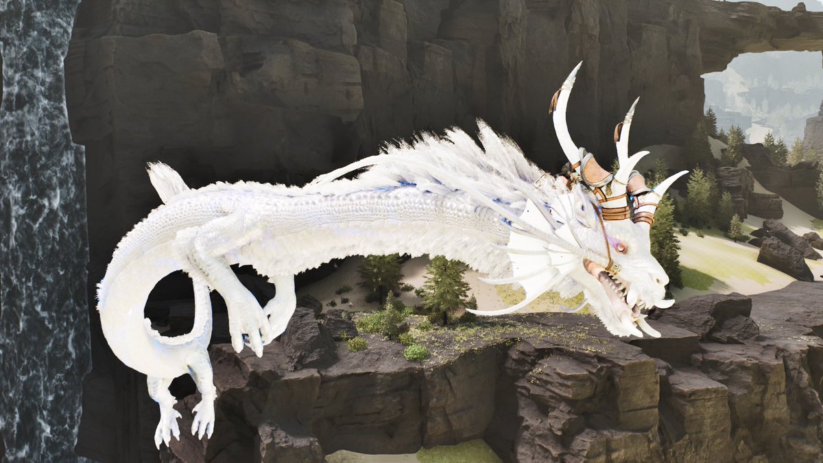 Sora💎⚒️ tweet media