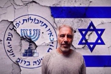 Majed Jmjoum tweet media