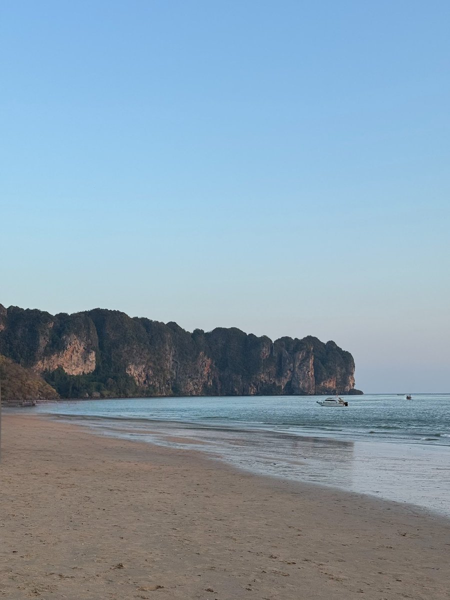 Шурочка с акулой tweet media