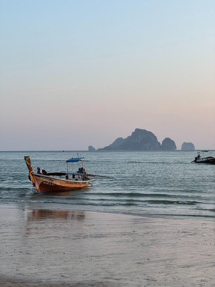 Шурочка с акулой tweet media