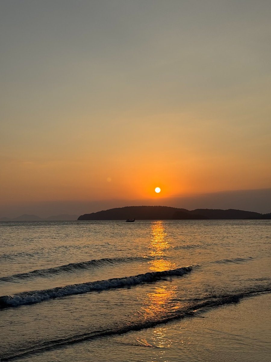 Шурочка с акулой tweet media