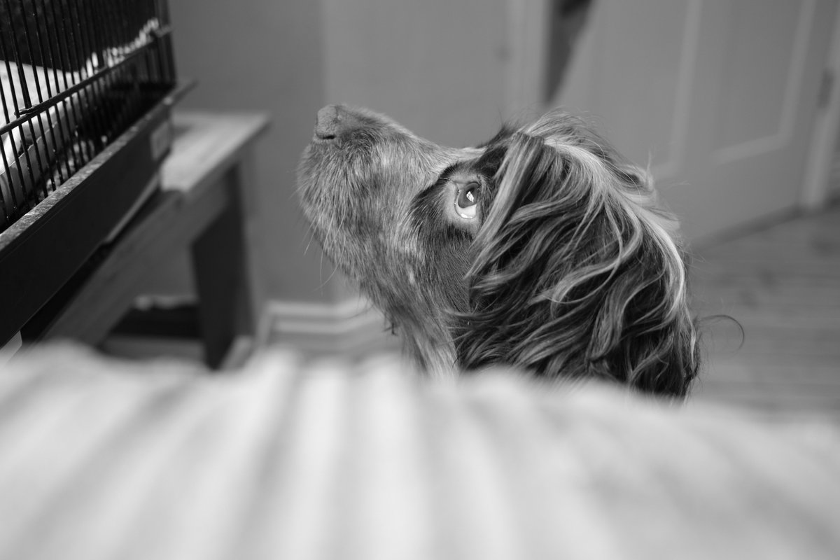 Loving my new #fujifilm #x100vi. This is #sooc
