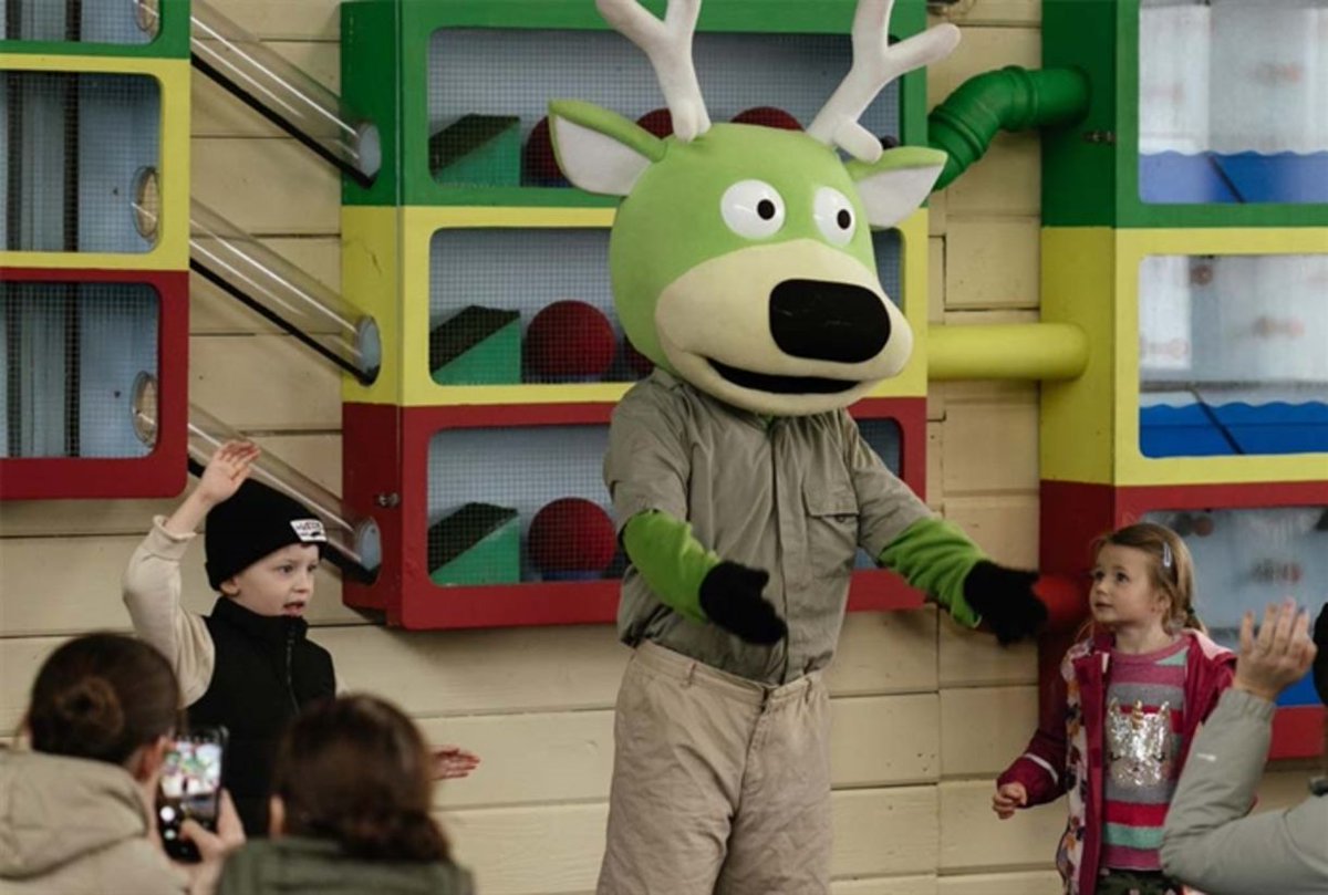 Visit Budleigh Salterton tweet media