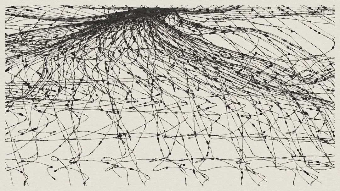 Iskra Velitchkova ⚫️➖ tweet media