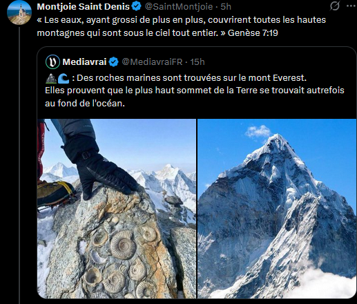 LeRaptorSauvage tweet media