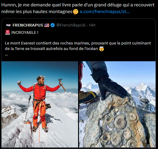 LeRaptorSauvage tweet media