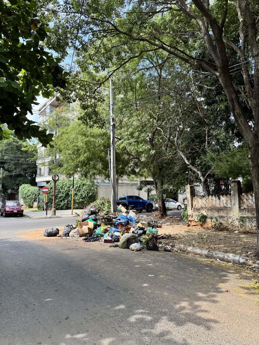 Que alguien me explique cómo la <a href="/AsuncionMuni/">Municipalidad de Asunción</a> permite que existan estos “basureros” en áreas residenciales en plena capital y a cuadras del Club Olimpia. Los puercos de los que van y tiran sus cosas deben ser multados y sancionados. Pero esto ya es el colmo. Rodó y Cerro Corá.
