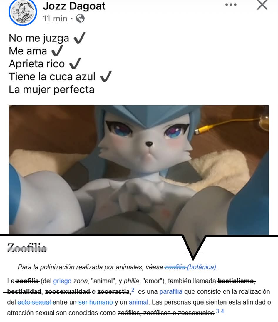 Kimu 🐱🌿 tweet media