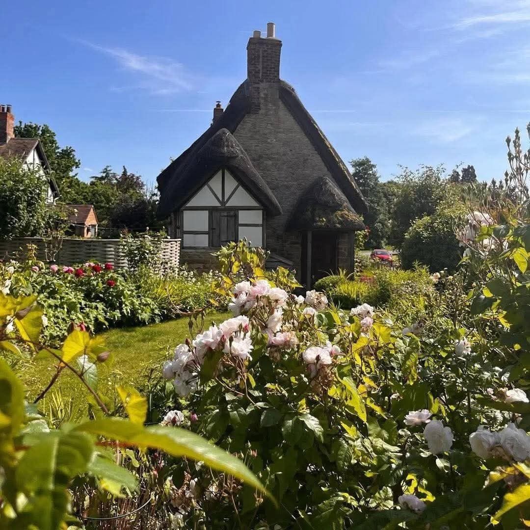 Cutest Cottages🏡🫖🪻 tweet media