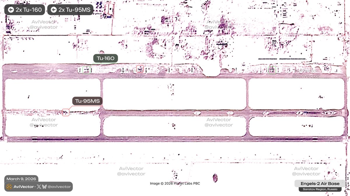 AviVector tweet media