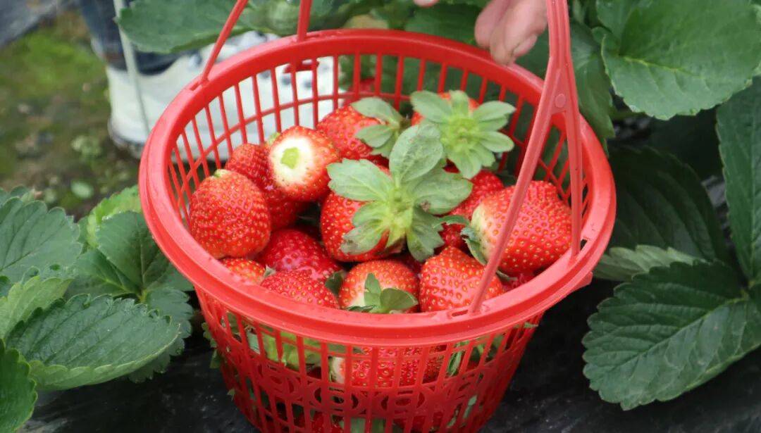 Cilnt | Opitnos tweet media