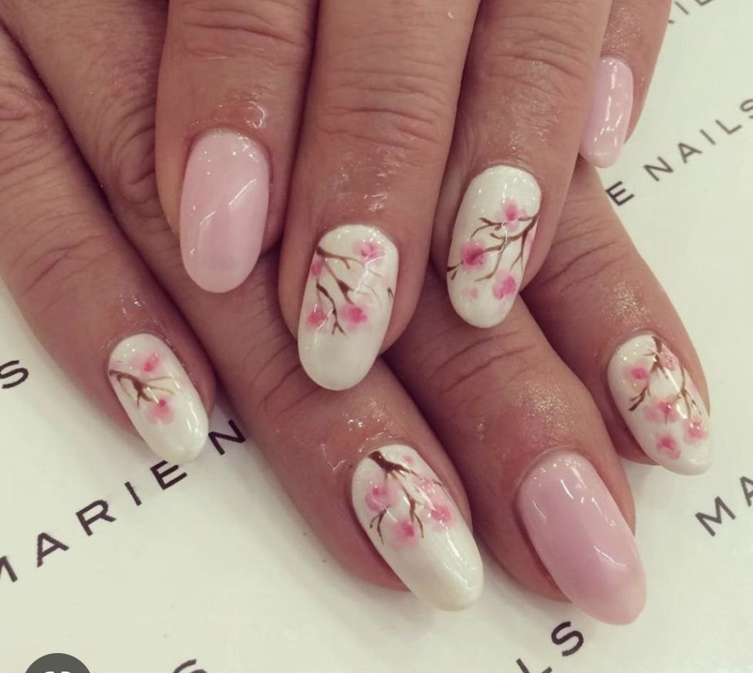 Marinette Dupain-Cheng 𝜗ৎ tweet media