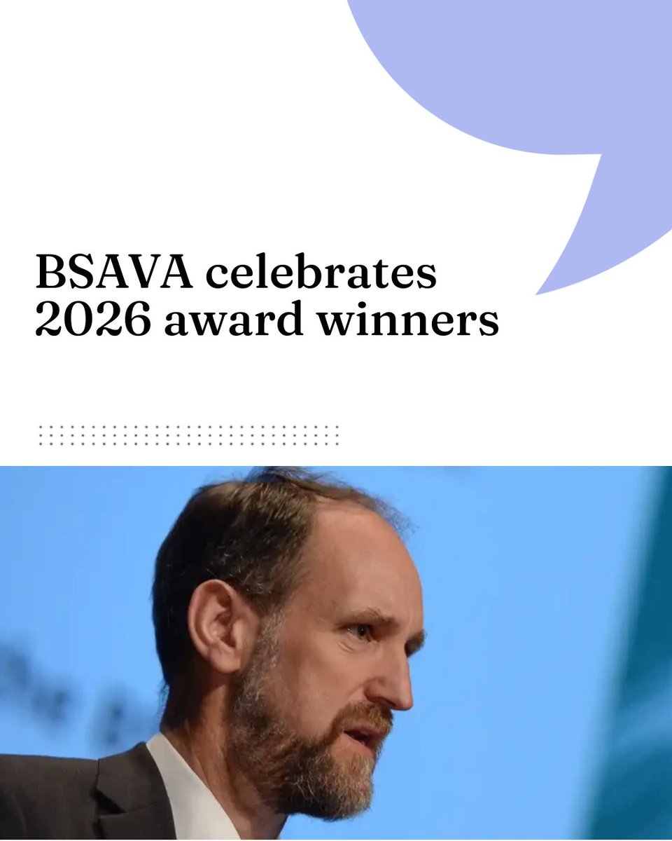 VN Times tweet media