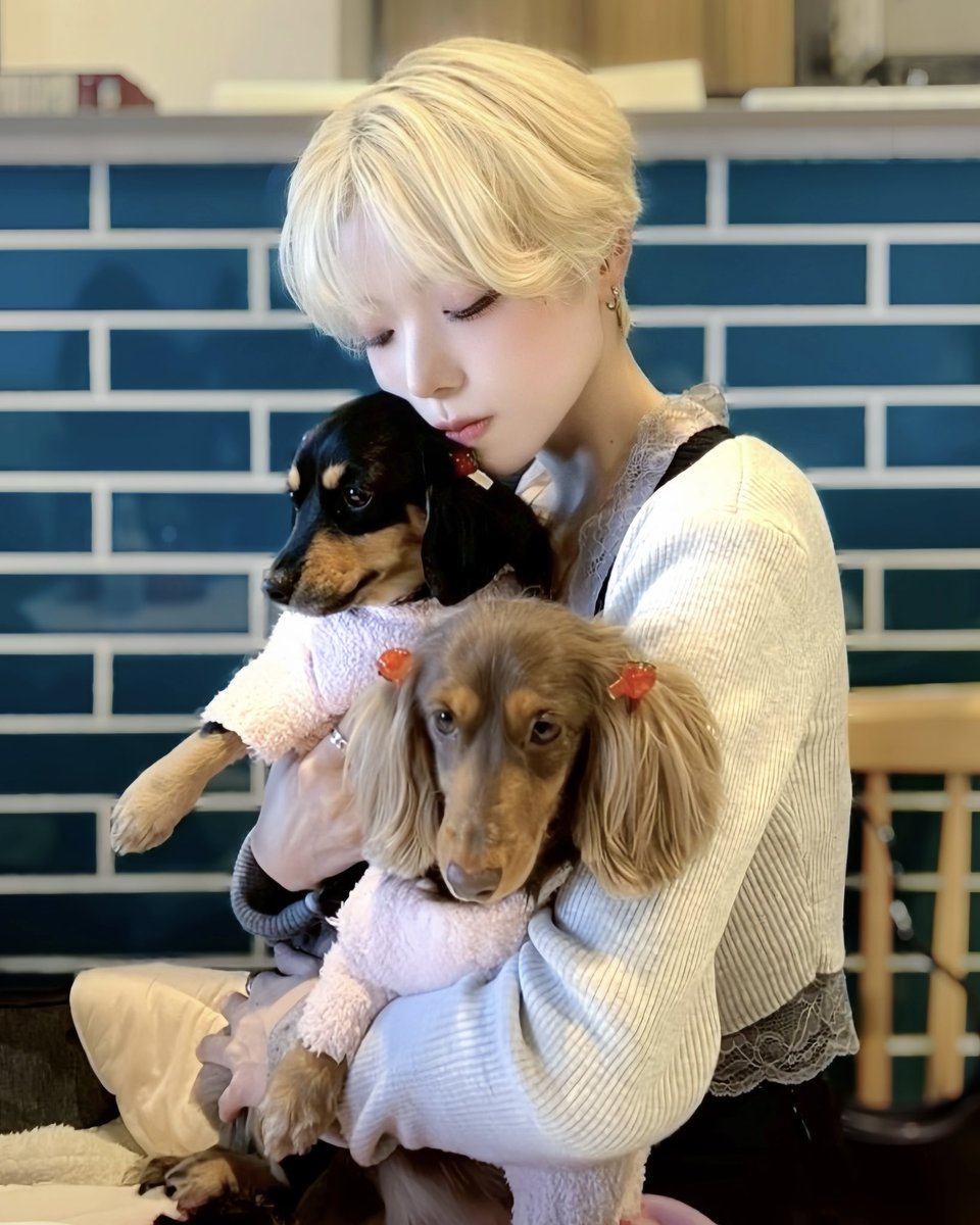 ame_02_x's tweet photo. 🐶と🍓 https://t.co/fo8wwnsl35