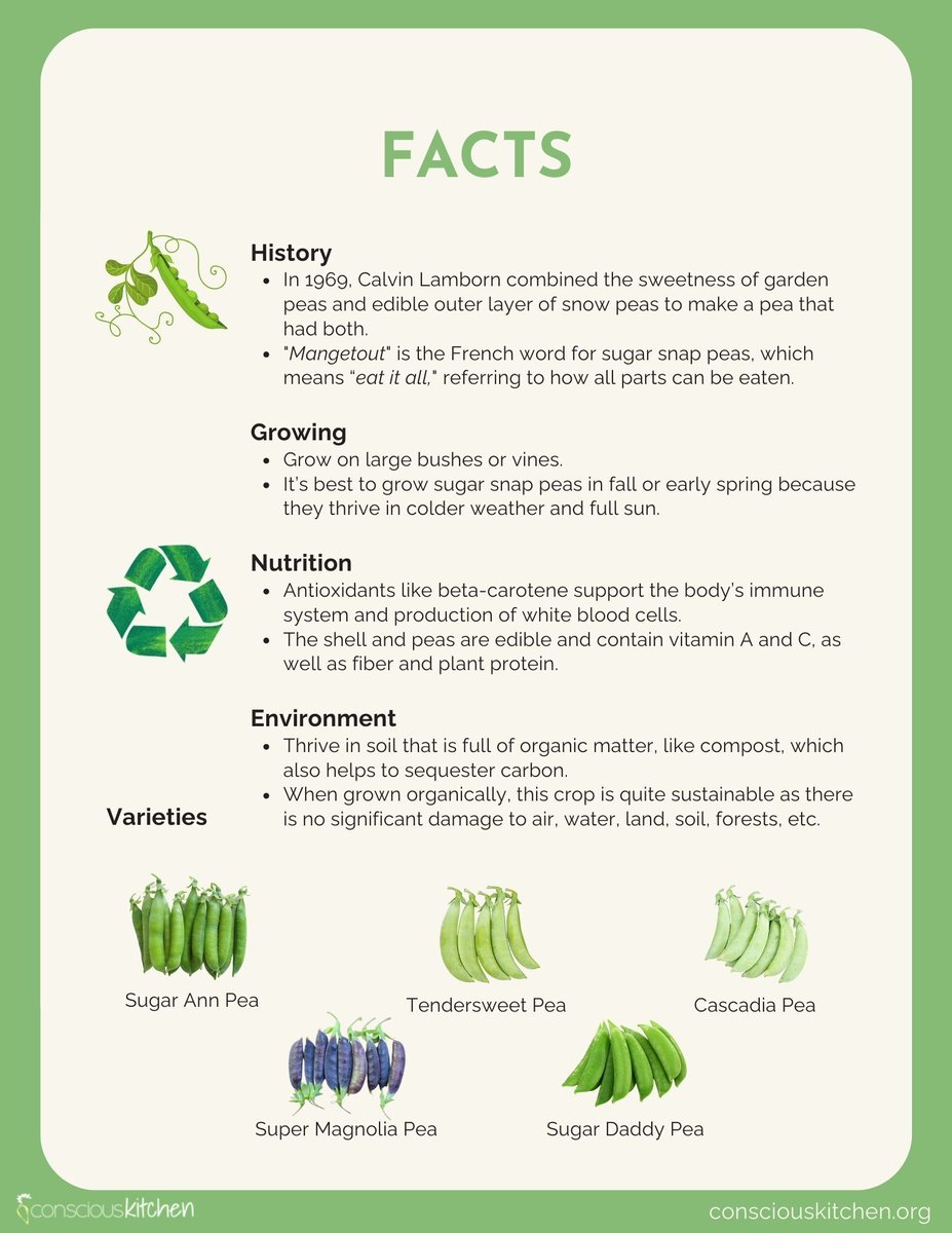 Conscious Kitchen tweet media