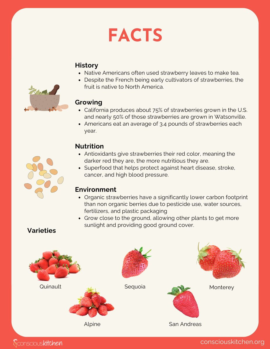 Conscious Kitchen tweet media