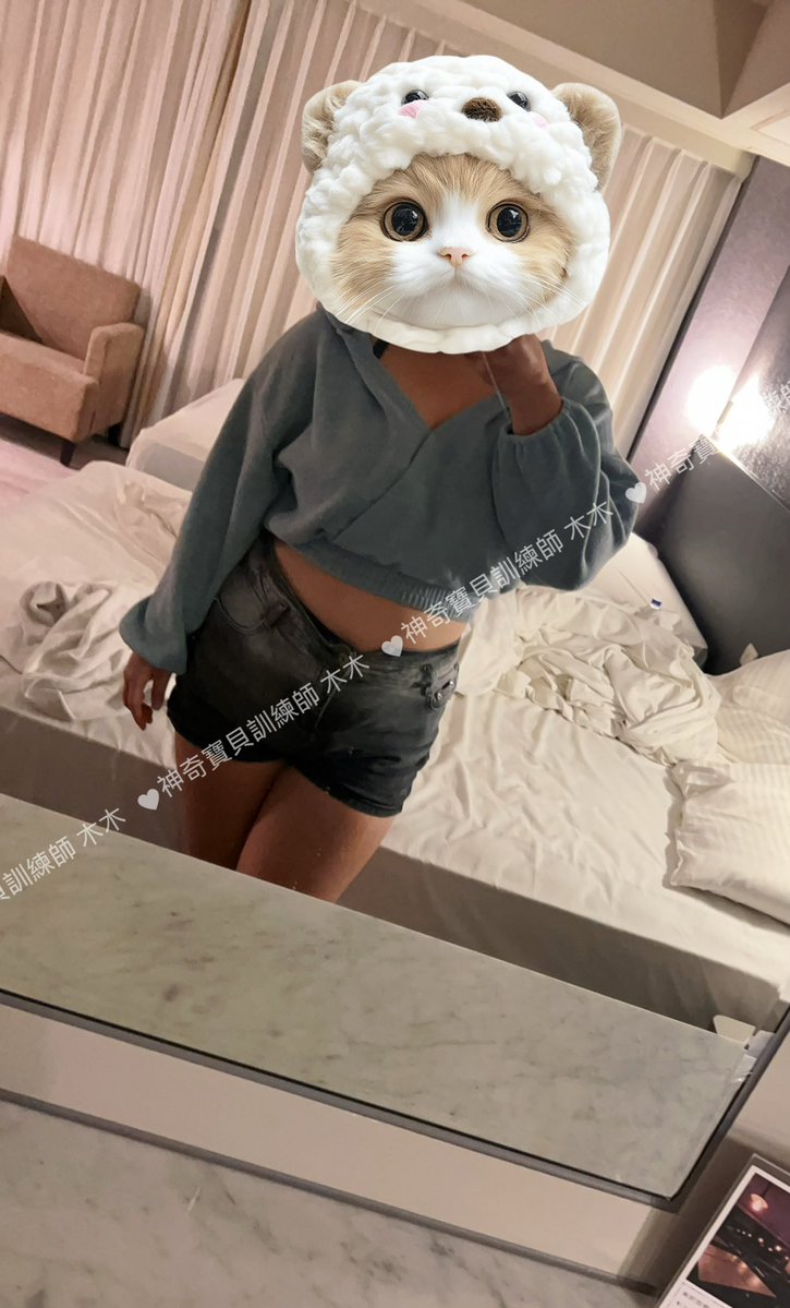 神奇寶貝訓練師 木木 tweet media