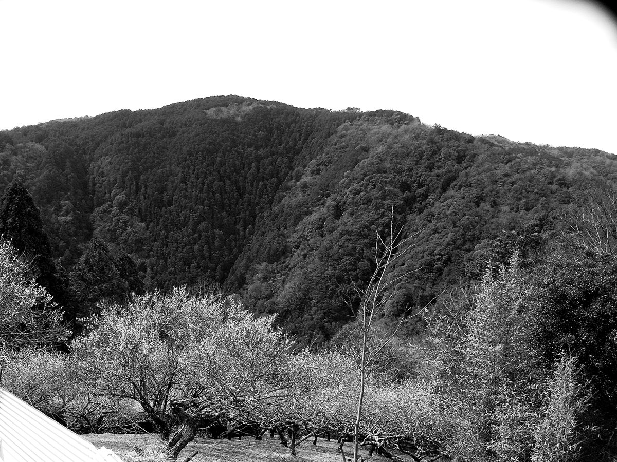 tomo7541's tweet image. 今日の気まぐれスナップ。

RICOH R10

#RICOH