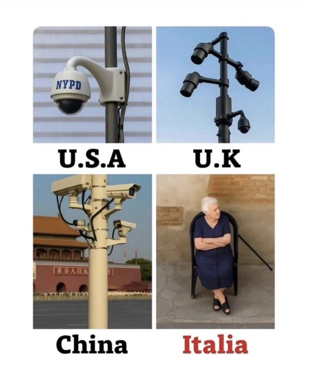 Italian intelligence 

Beat this 🇮🇹😅