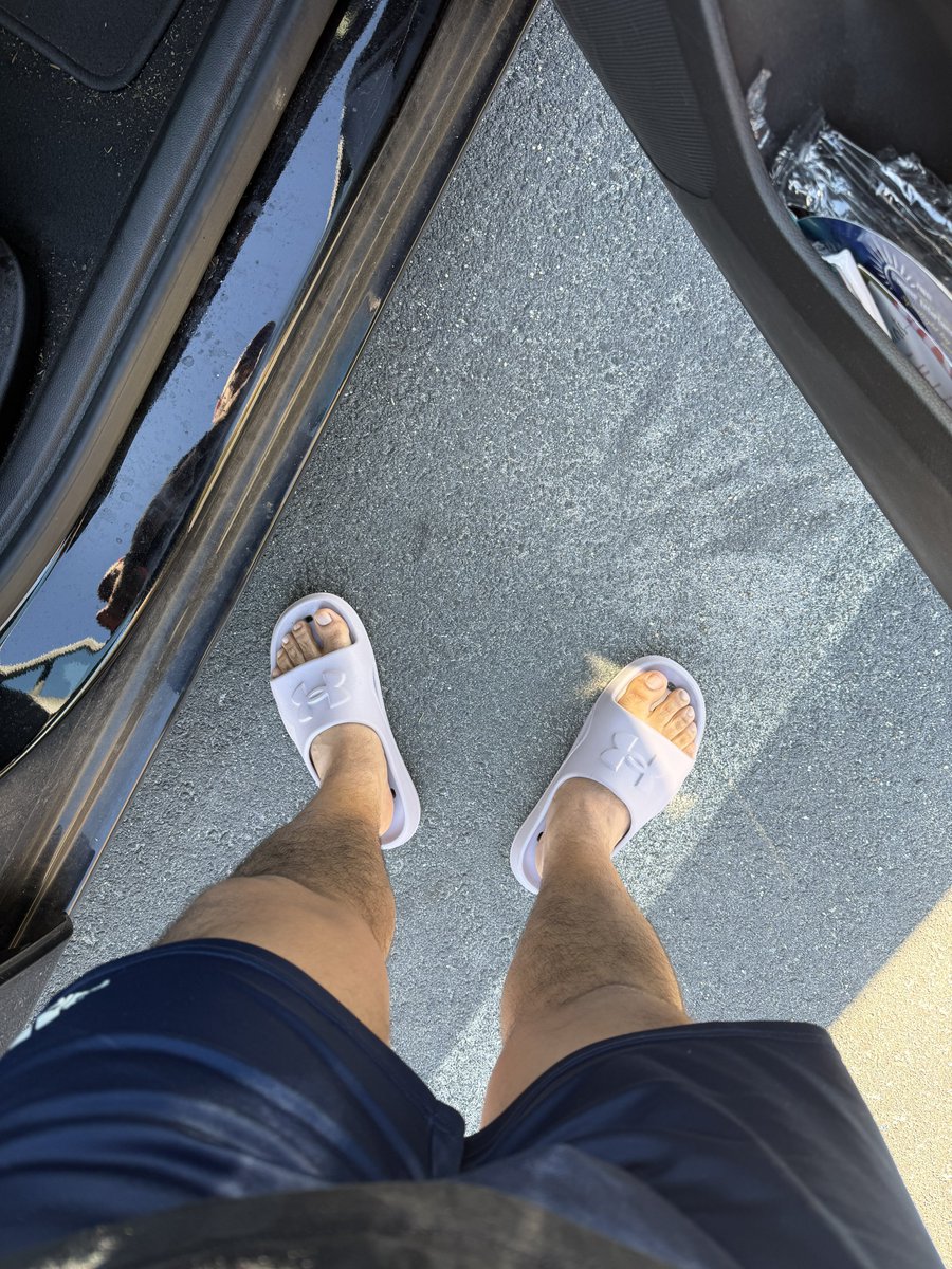 Suns out piggies 🐽 out