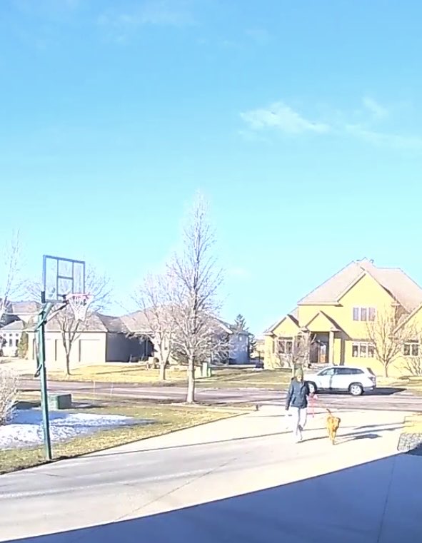 Lindsay In Real Life tweet media