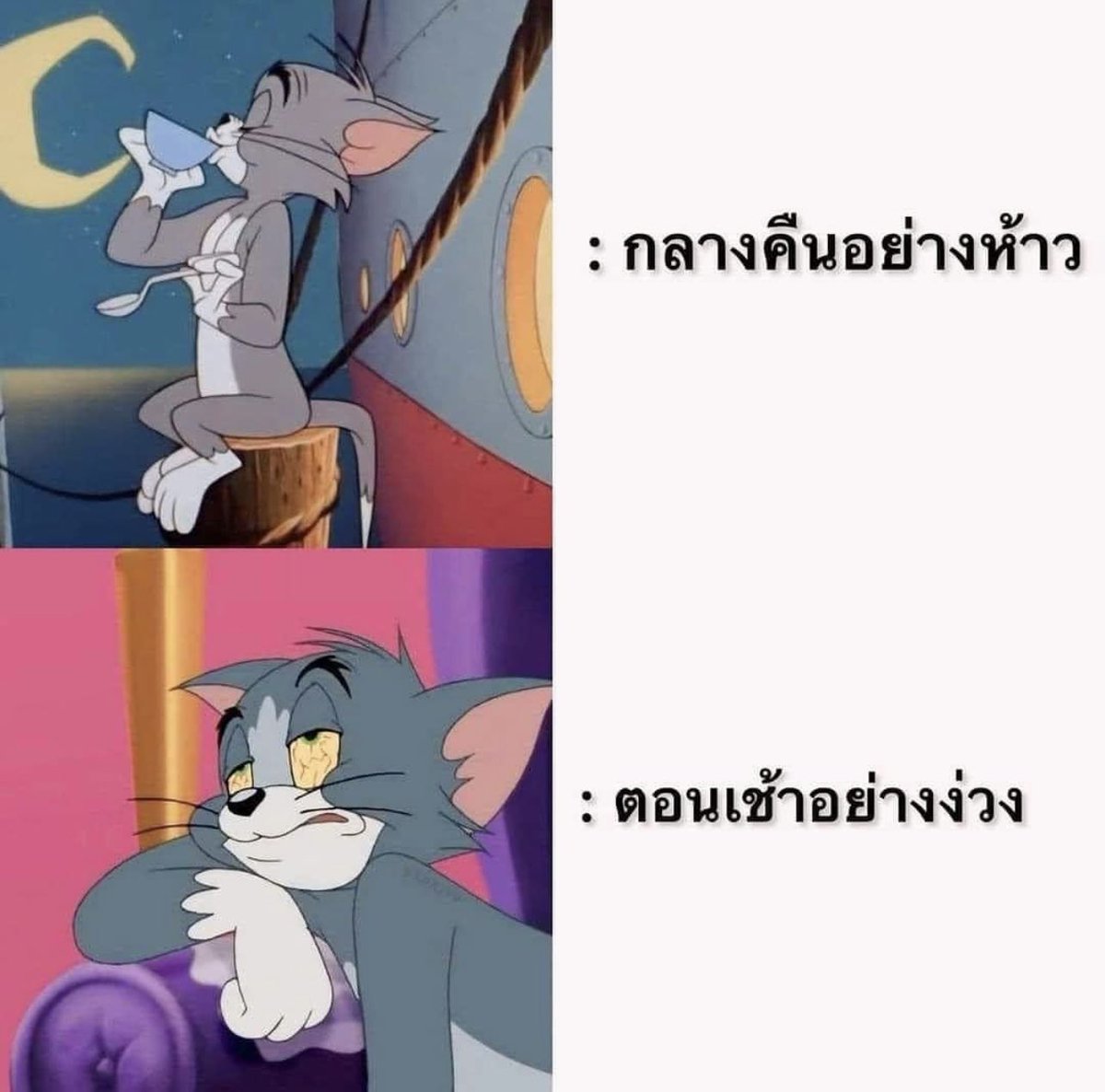 ชีวิตกุ 1,000,000%