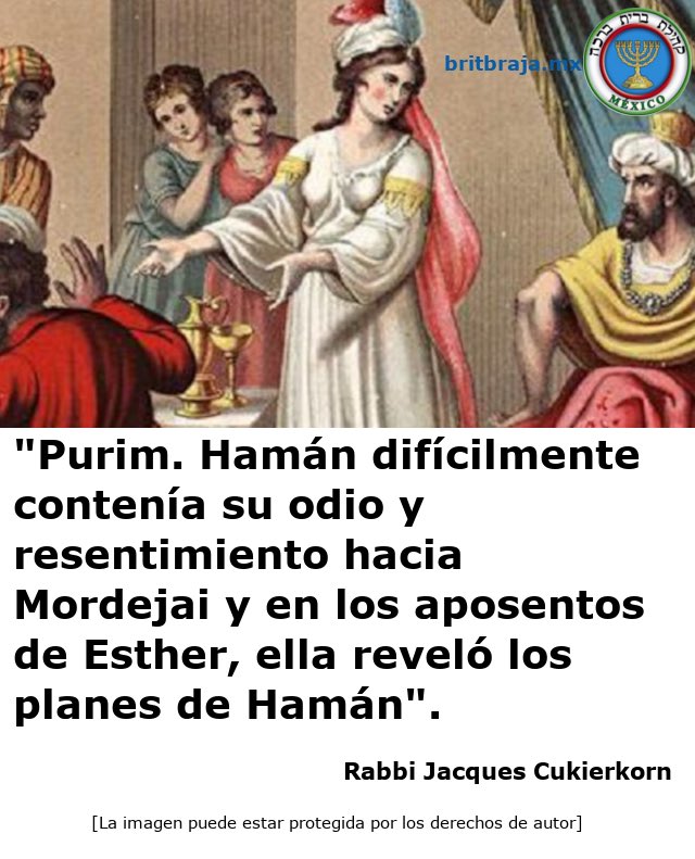BritBrajaMX tweet media