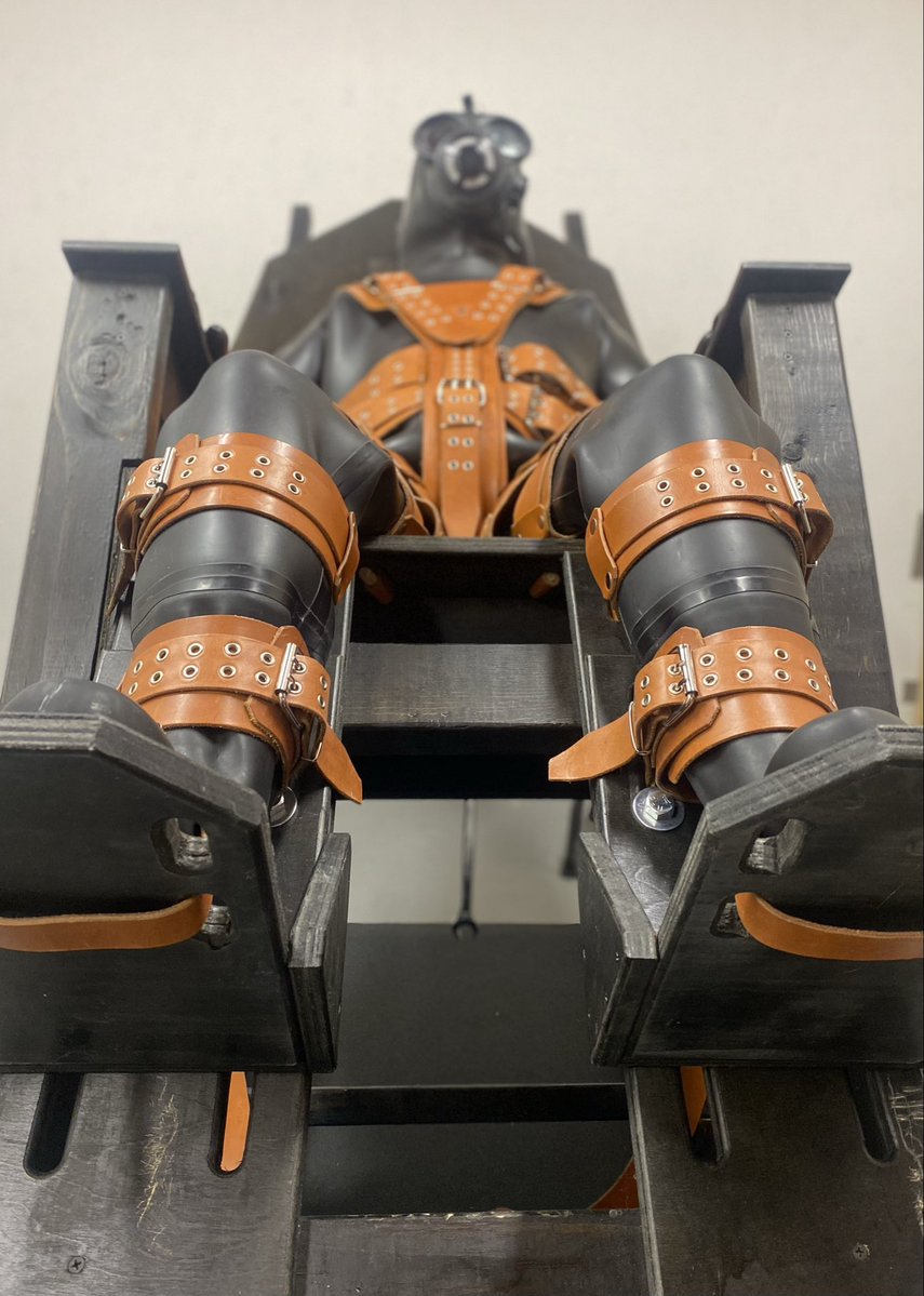 SeriouslyBound tweet media