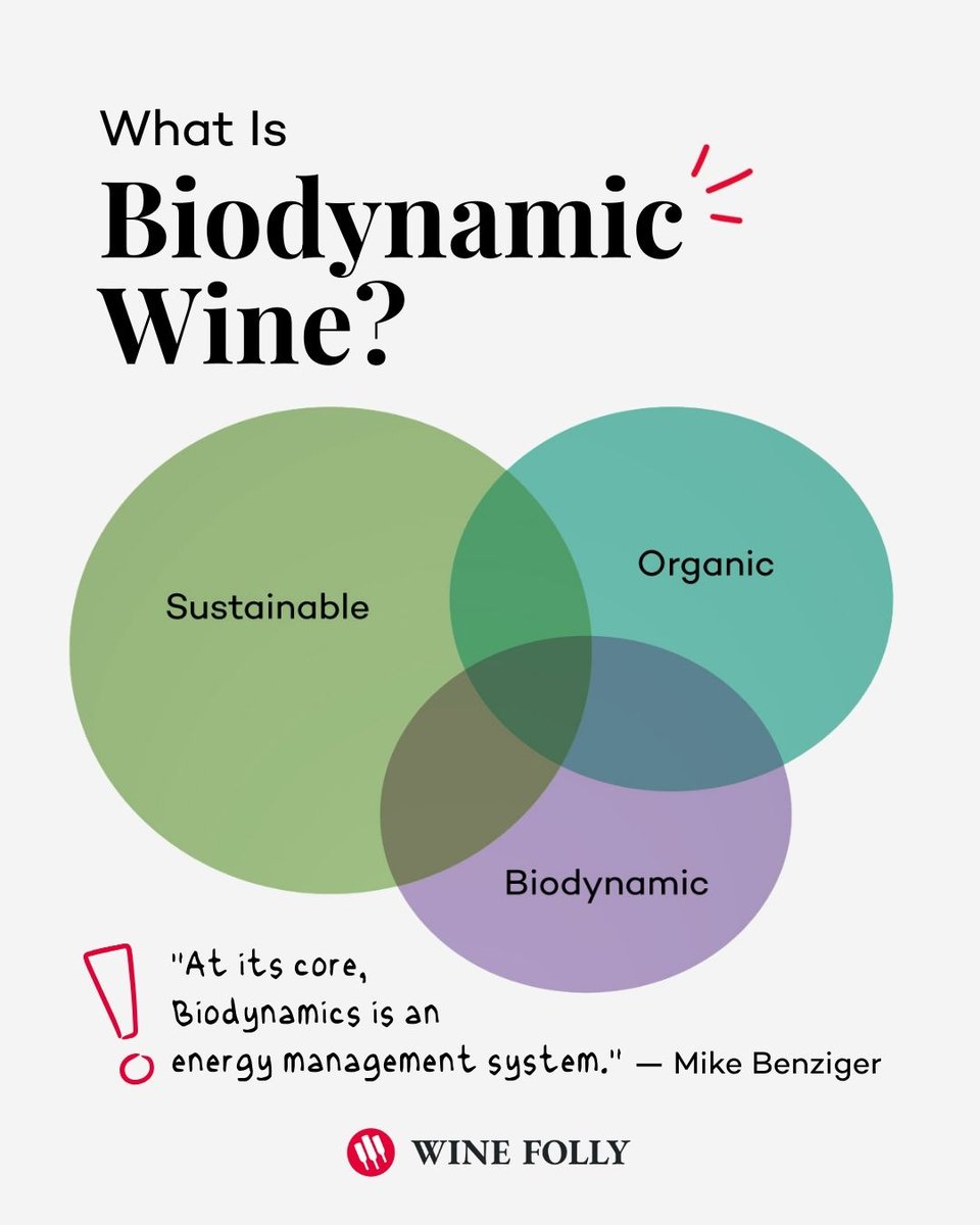 Wine Folly tweet media