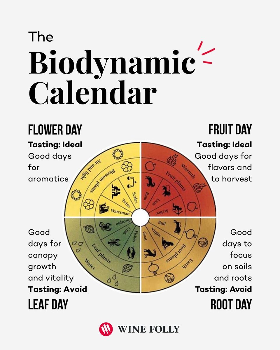 Wine Folly tweet media