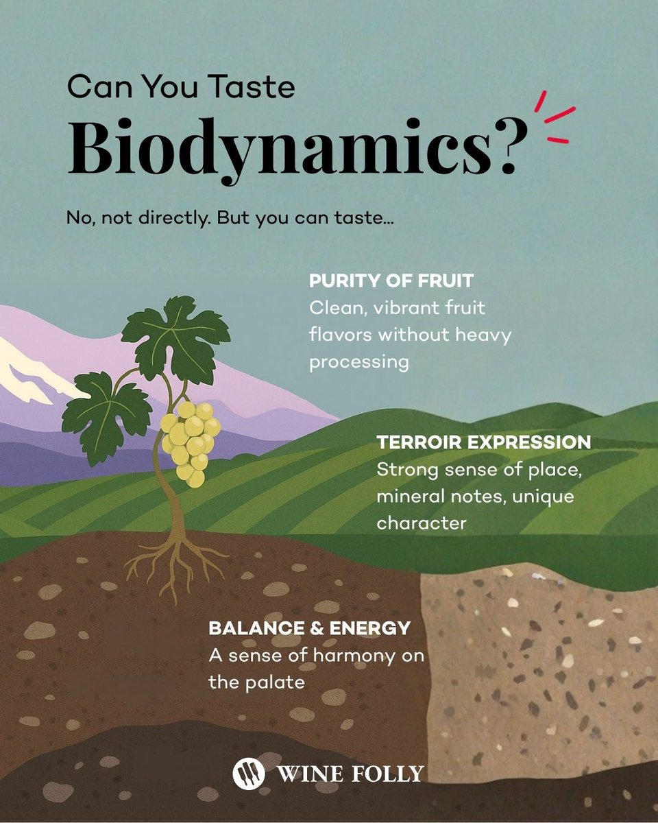 Wine Folly tweet media