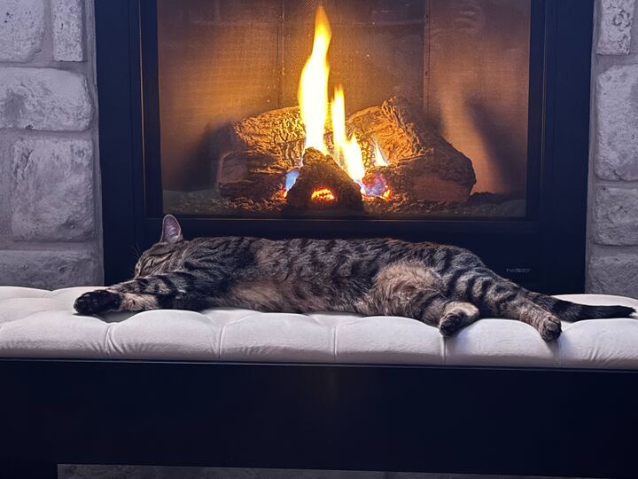 Brett Stuart tweet media