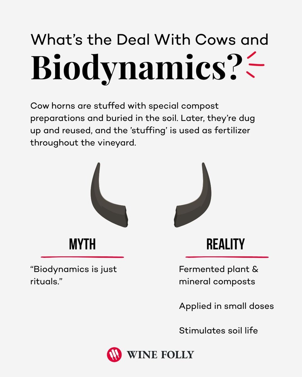 Wine Folly tweet media