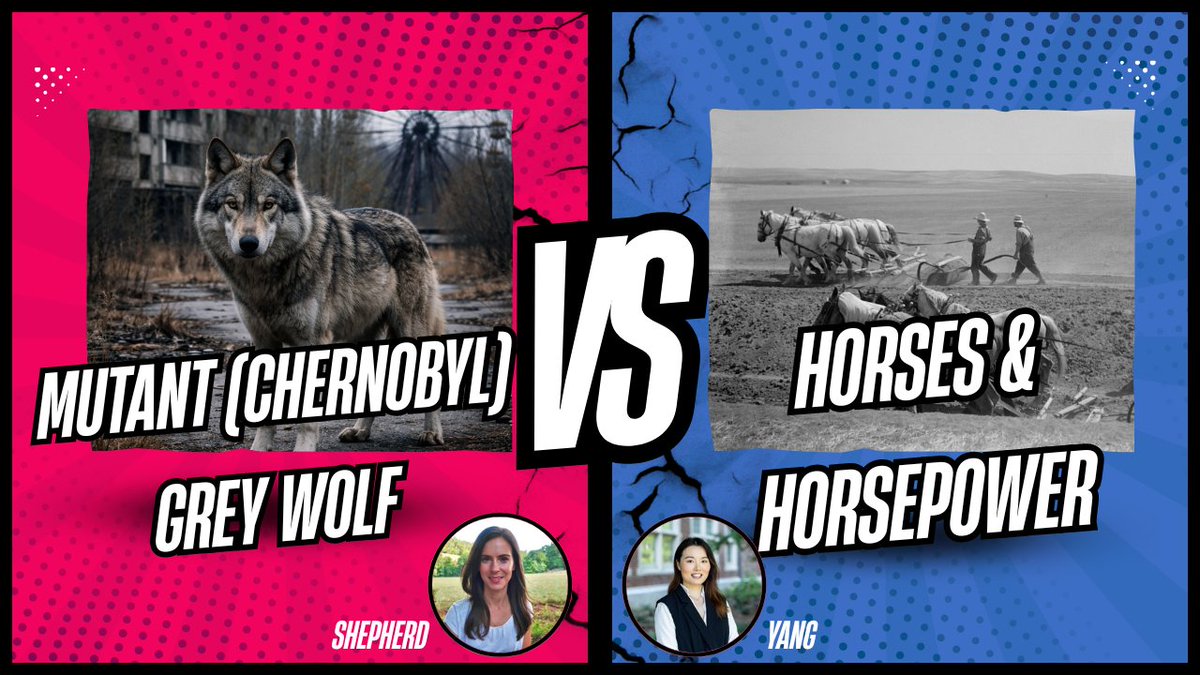 UT Animal Science tweet media