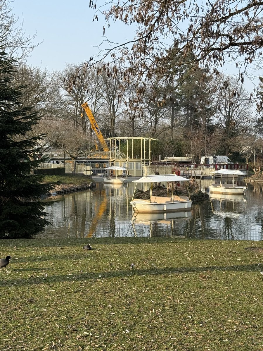 Sebastian Wolf tweet media