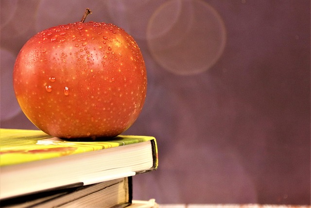 Lauren Partida tweet media