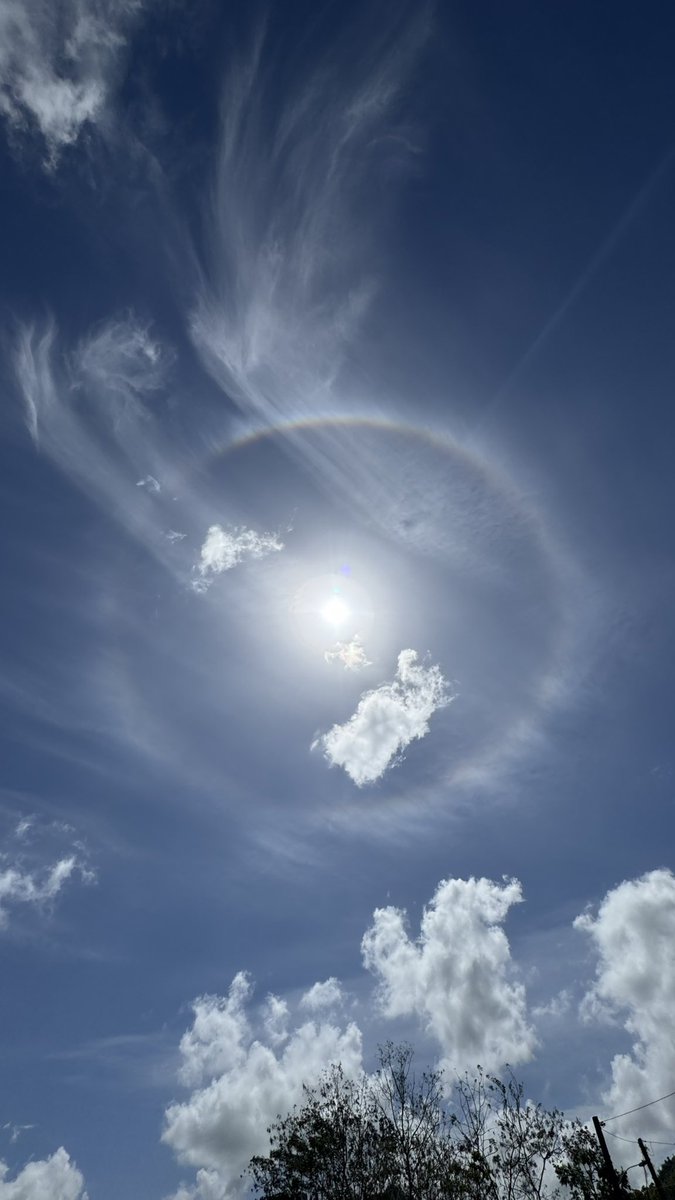 Leidy Díaz tweet media