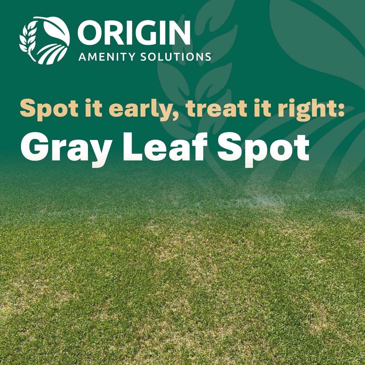 Origin Amenity Solutions tweet media